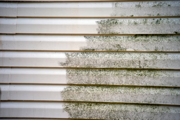 Best Storm Damage Siding Repair  in Harmony Grove, CA