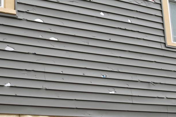 Best Fiber Cement Siding Installation  in Harmony Grove, CA